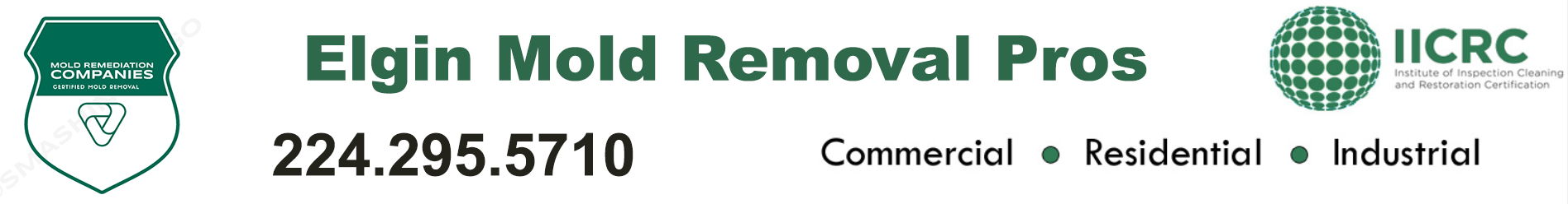 Elgin Mold Removal Pros